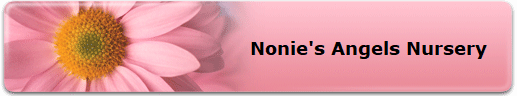 Nonie's Angels Nursery