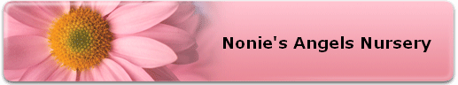 Nonie's Angels Nursery