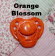 Orange Blossom